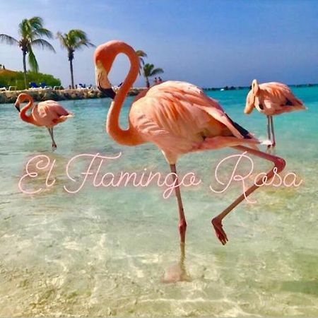 Casa Vacanze El Flamingo Rosa Cod Iun P5386 Iglesias Exterior photo